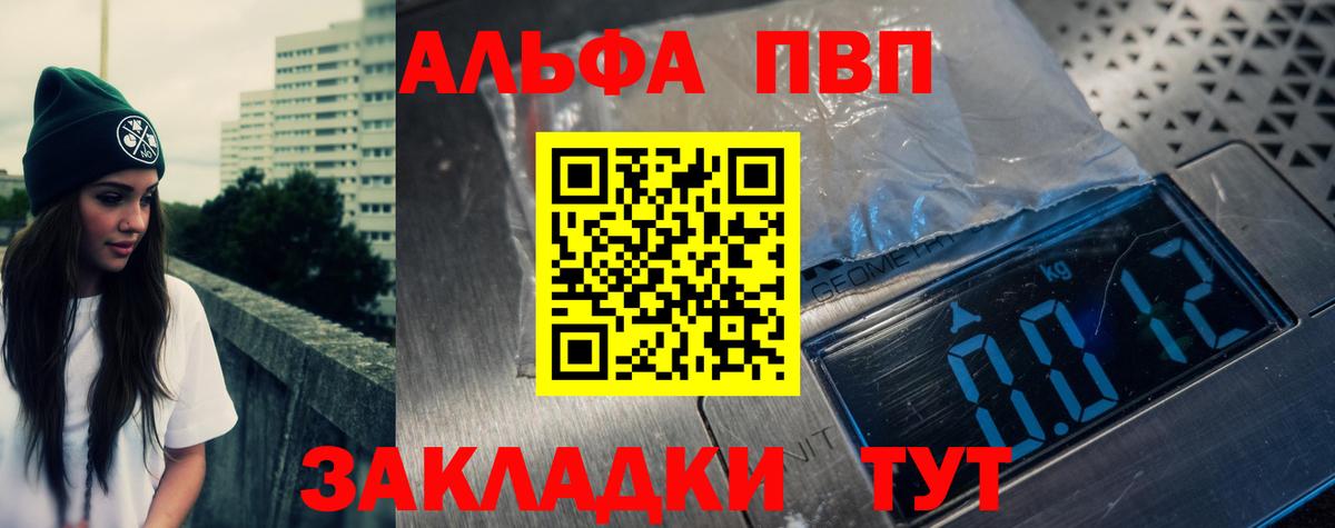 Альфа ПВП СК КРИС  Alfa_PVP крисы CK  Вход с VPN  Альфа ПВП СК  как найти   Ярцево 