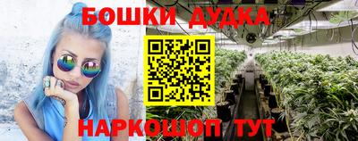 прущий лед Моздок