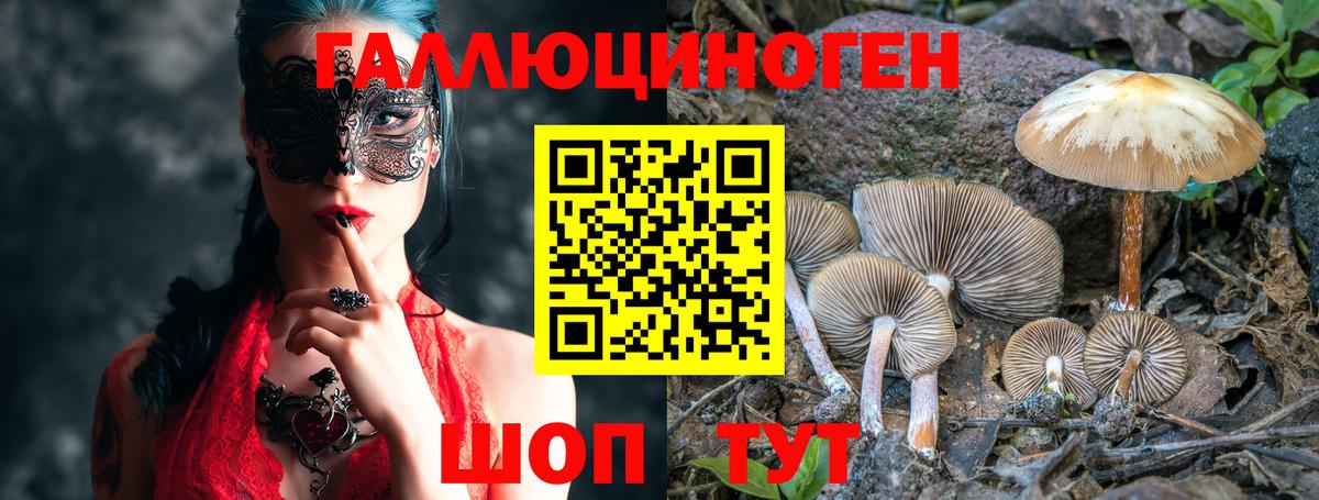 Ярцево  закладки  Вход с VPN  Галлюциногенные грибы Psilocybe 